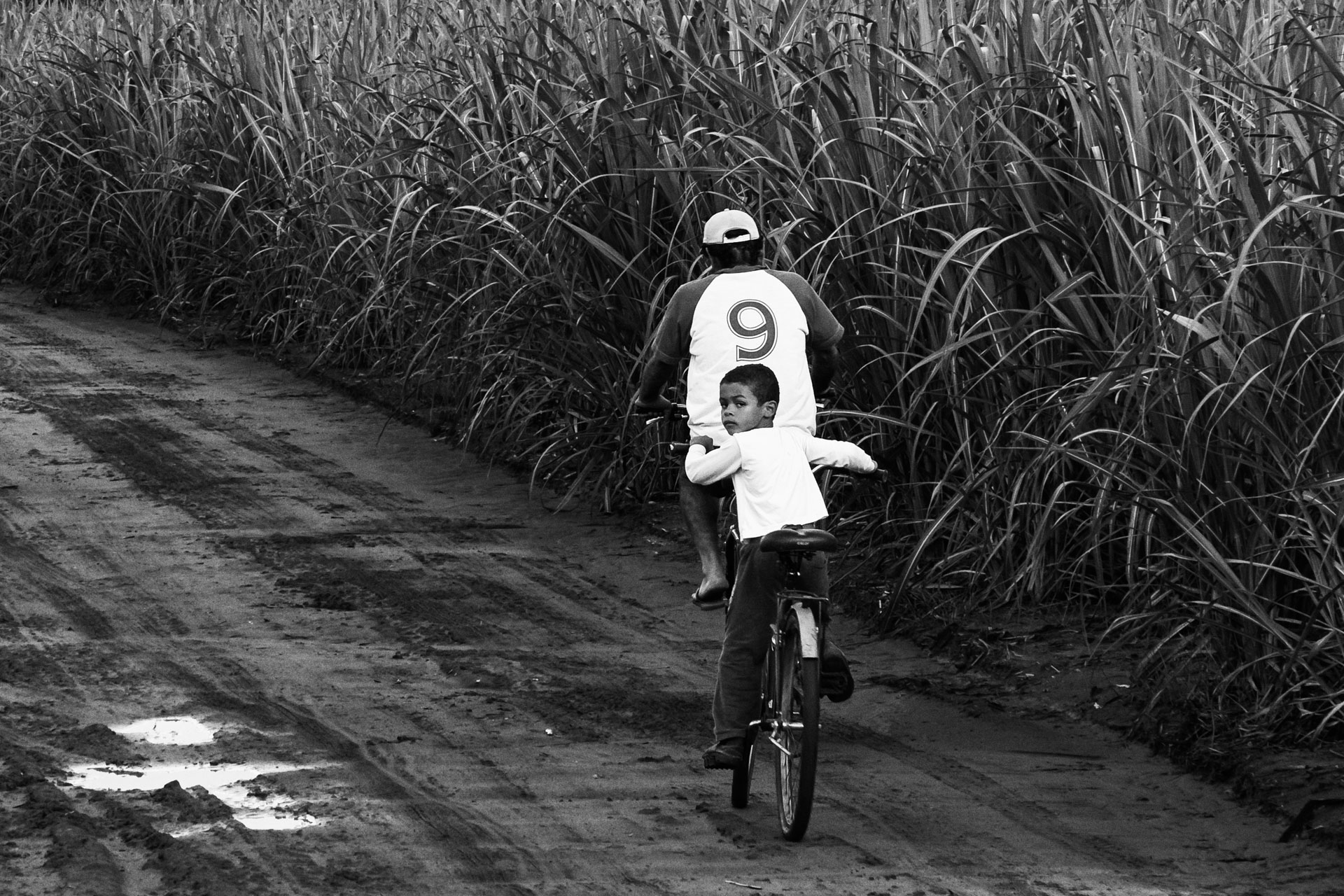 <span data-link="/pb/bicicletas" class="link-card-inteiro">Bicicletas</span>