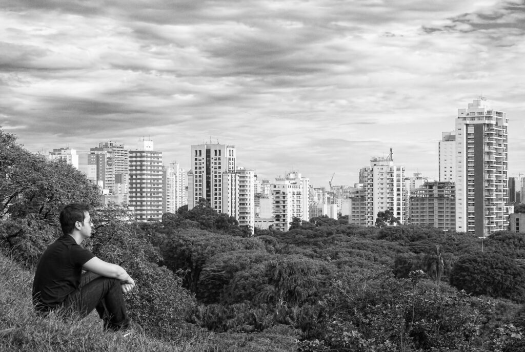 Selva & Pedra